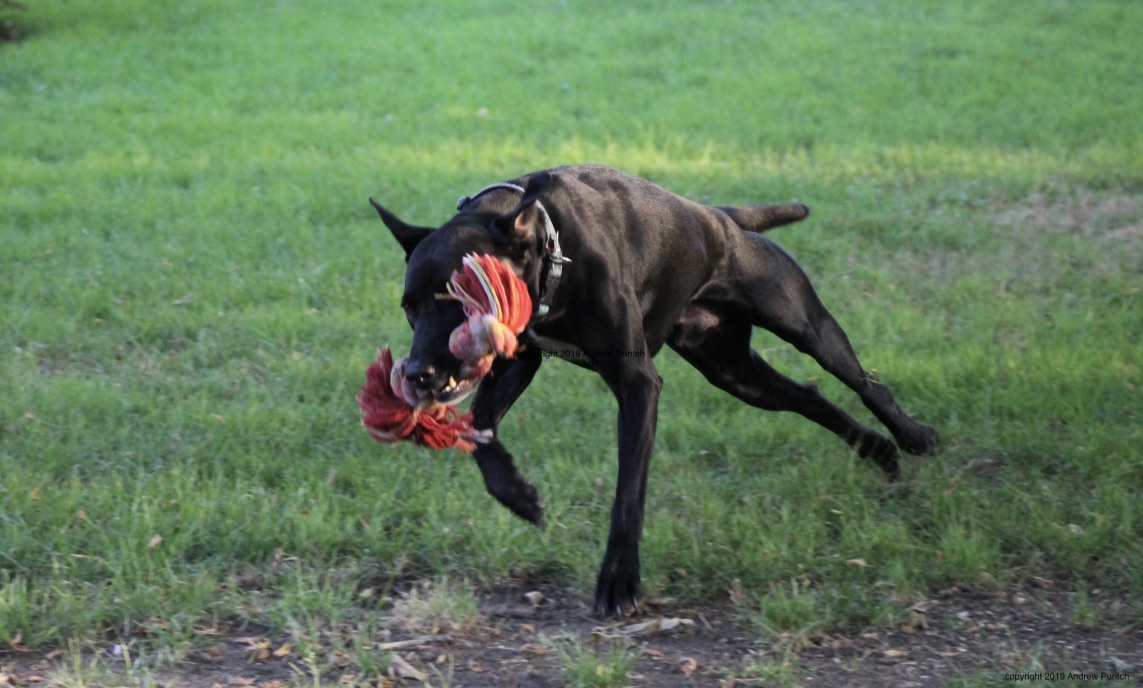 cudzAhf8R6eXC21AlFuJPw_thumb_4eb0