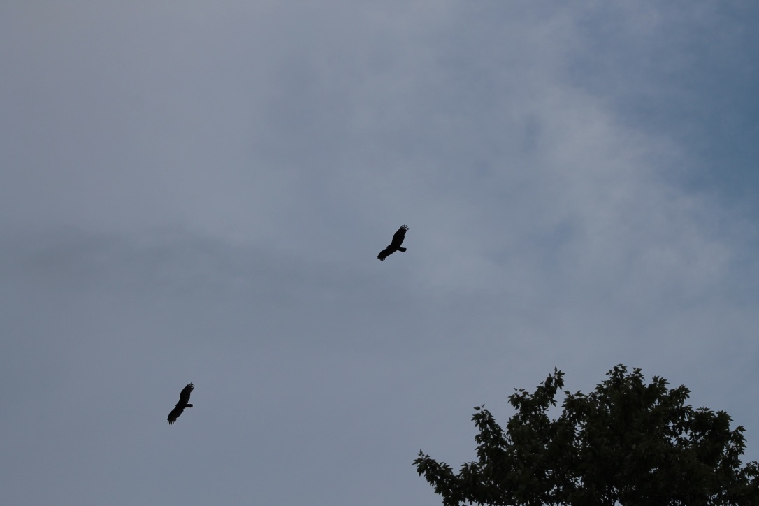 JekZ4hyQRm67tS8a1UWafA_thumb_4e9b