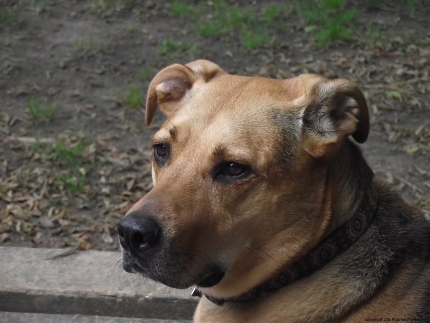 JvrKmz0WQRu+l3J6kI%VRw_thumb_4ea9