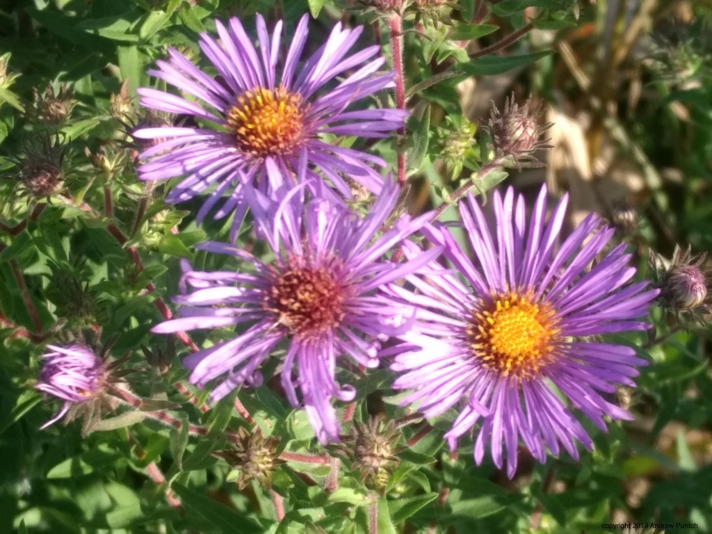 no83BgN3R8CVXTOTqOu6pw_thumb_4ebd