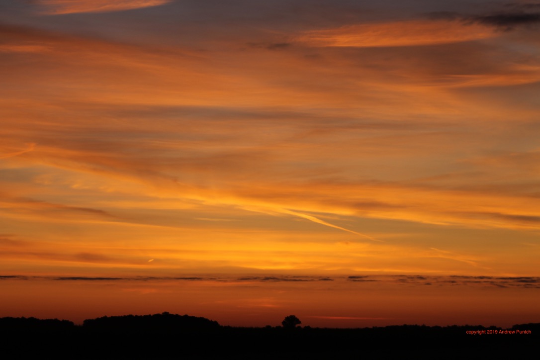 wQEsuf8eSr+jJY6RSi0vfw_thumb_4e96