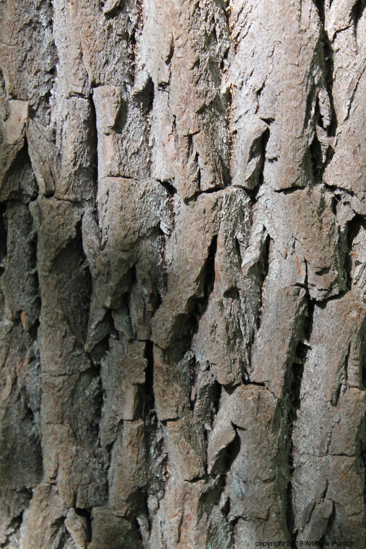 o5M6wwsURrmvm6YGB%CrsA_thumb_4f8a