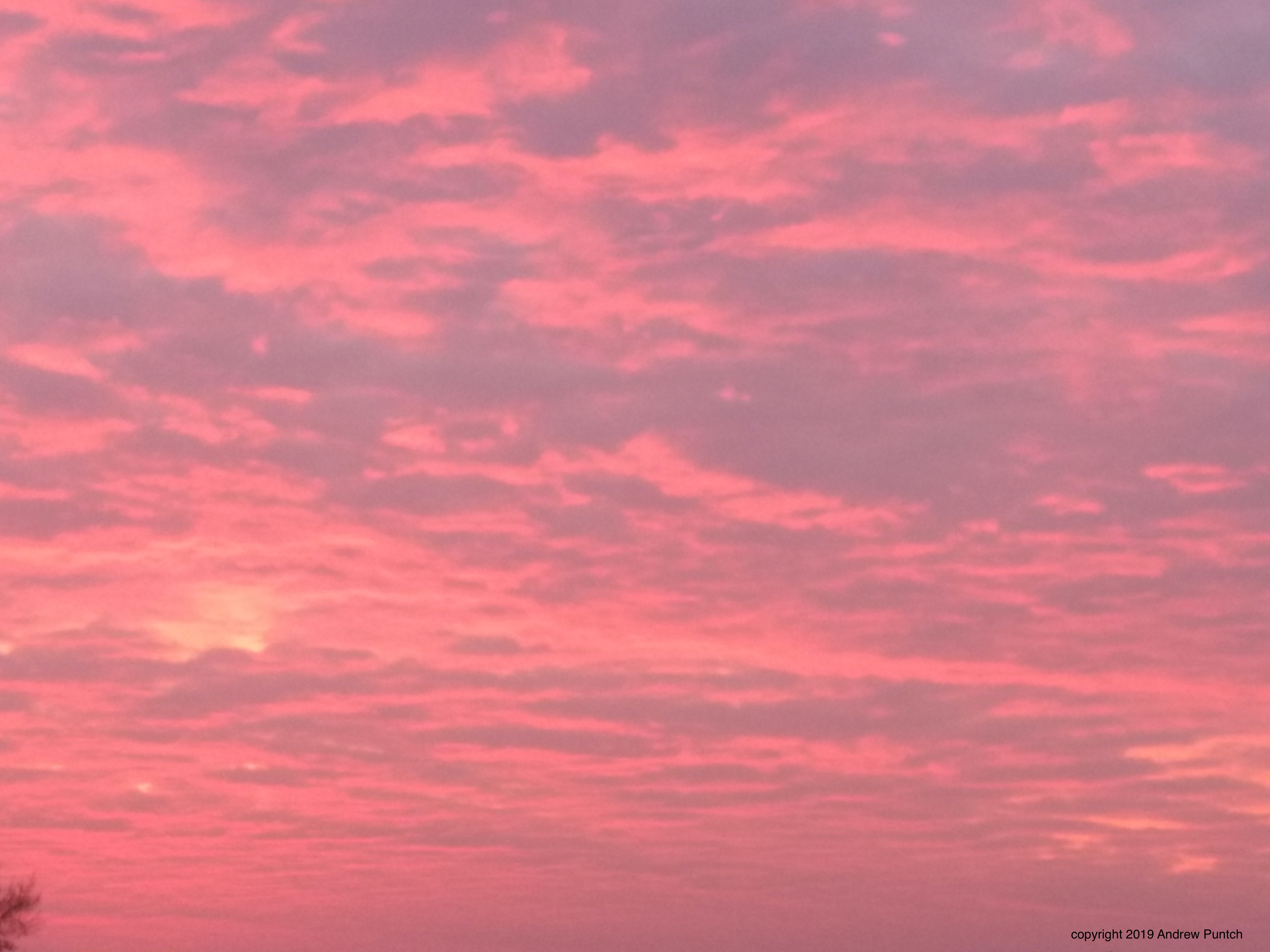 IMG_20191121_072115285