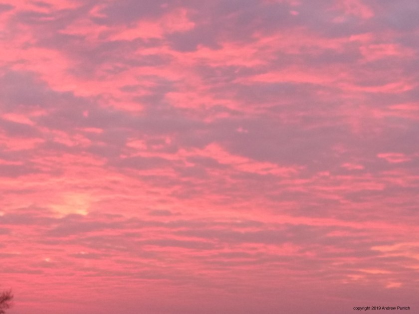 IMG_20191121_072115285