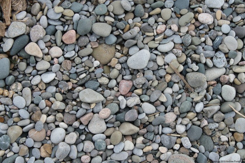 187A376C-1174-48AE-8F6F-13564FBEFC86_1_201_a