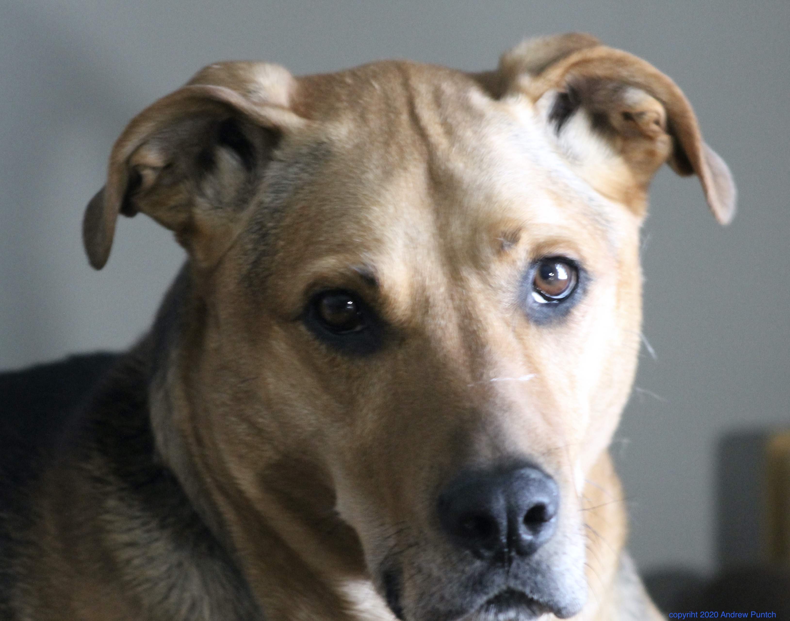 1A914050-9C0B-4B9F-92F5-F2C418C0543D_1_201_a