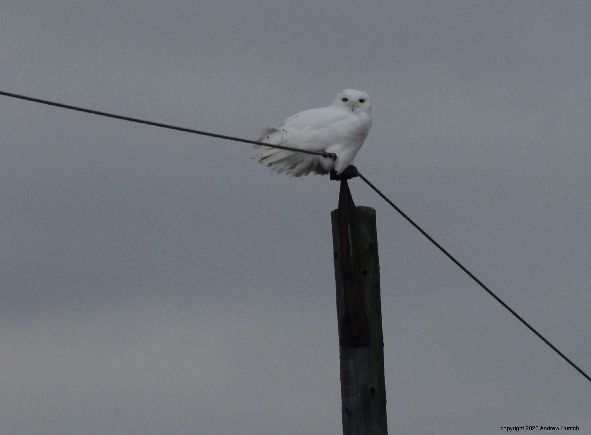 26F073D3-E5FC-452C-9F0E-3B564B85CC3F_1_201_a