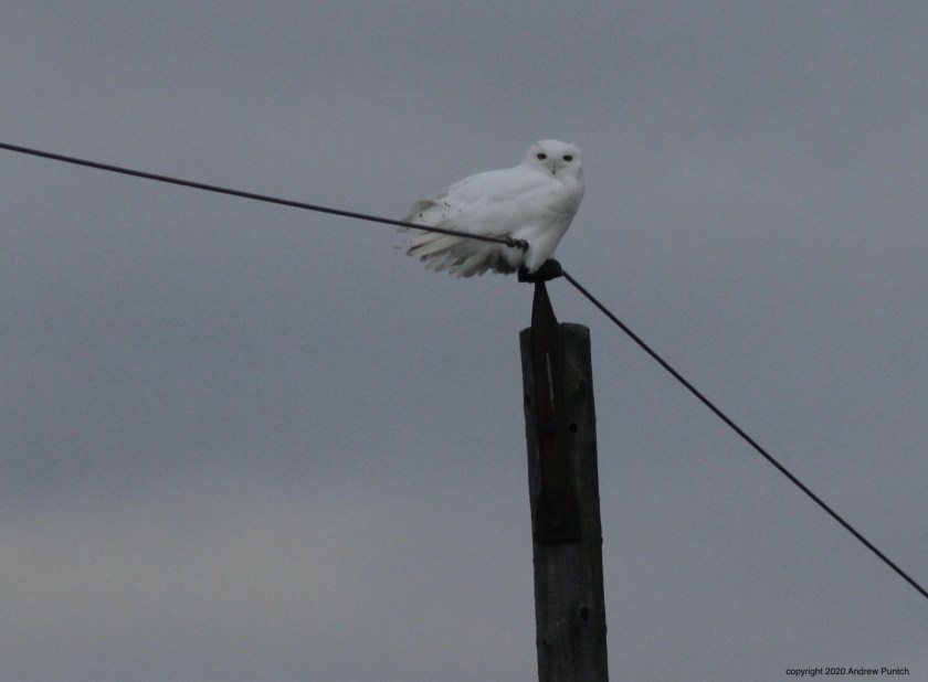 26F073D3-E5FC-452C-9F0E-3B564B85CC3F_1_201_a