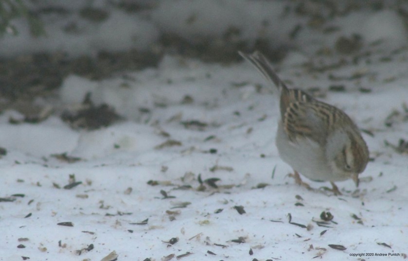 55D1260C-79D0-43C7-AD23-E2D73314EB0F_1_201_a