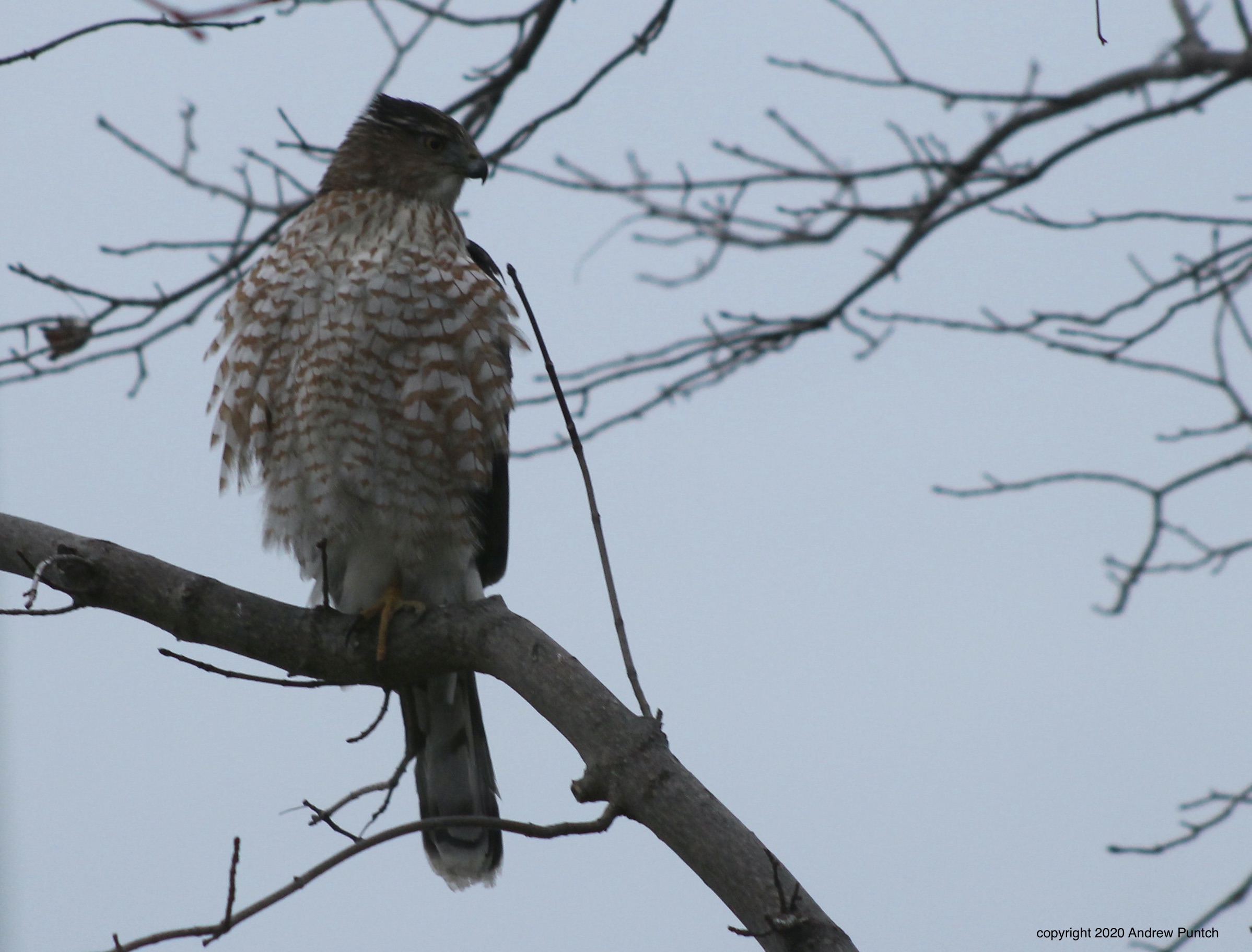 7BF8F9B9-4216-44CB-A131-1934588D8383_1_201_a