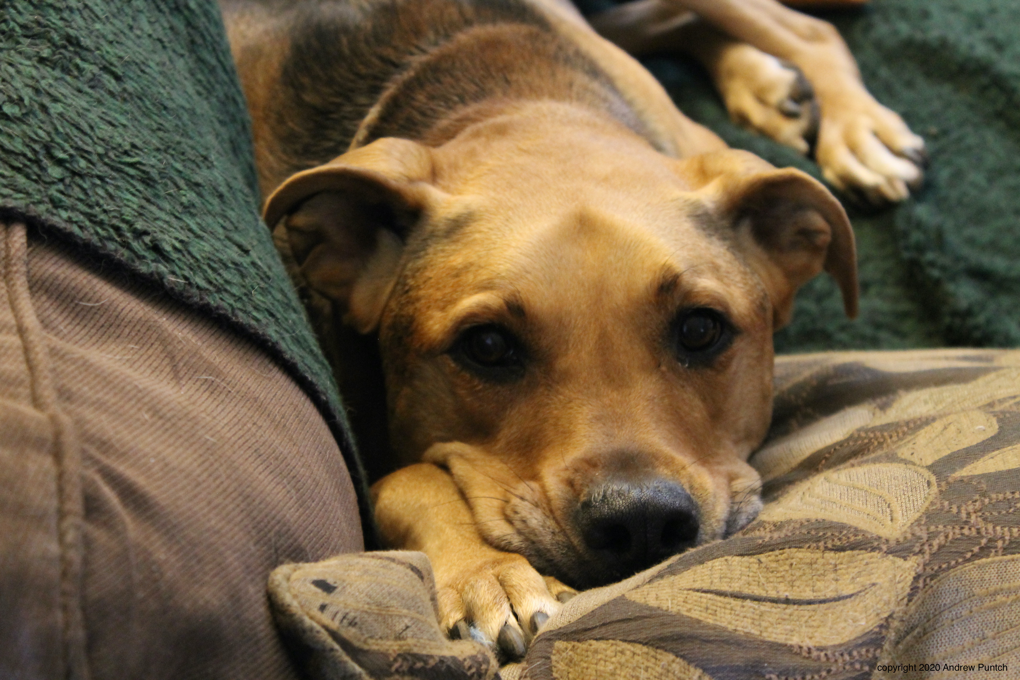 89BC93C4-E509-48DD-A0BB-9BBC9EA39F87_1_201_a