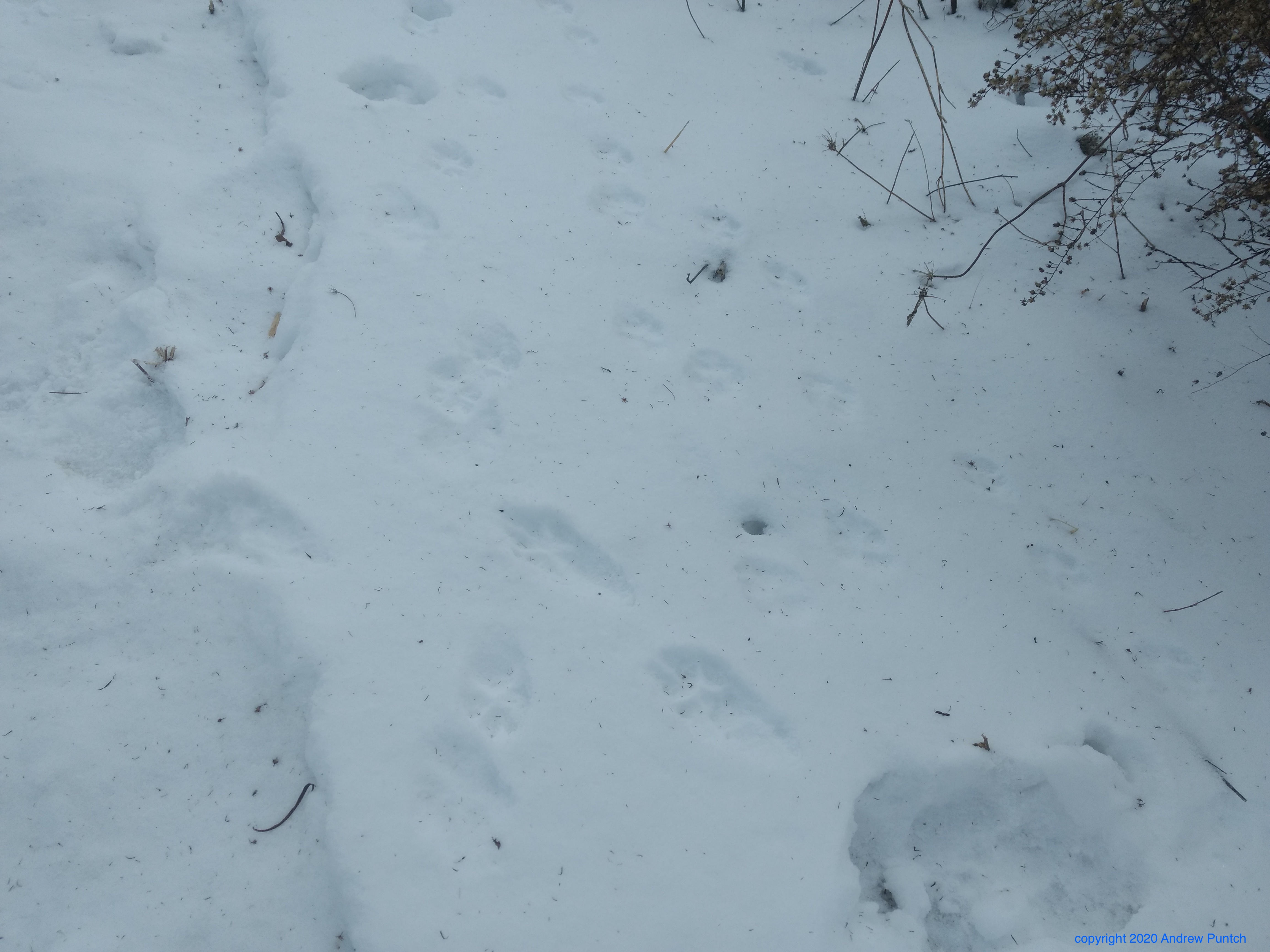 IMG_20200119_135812597