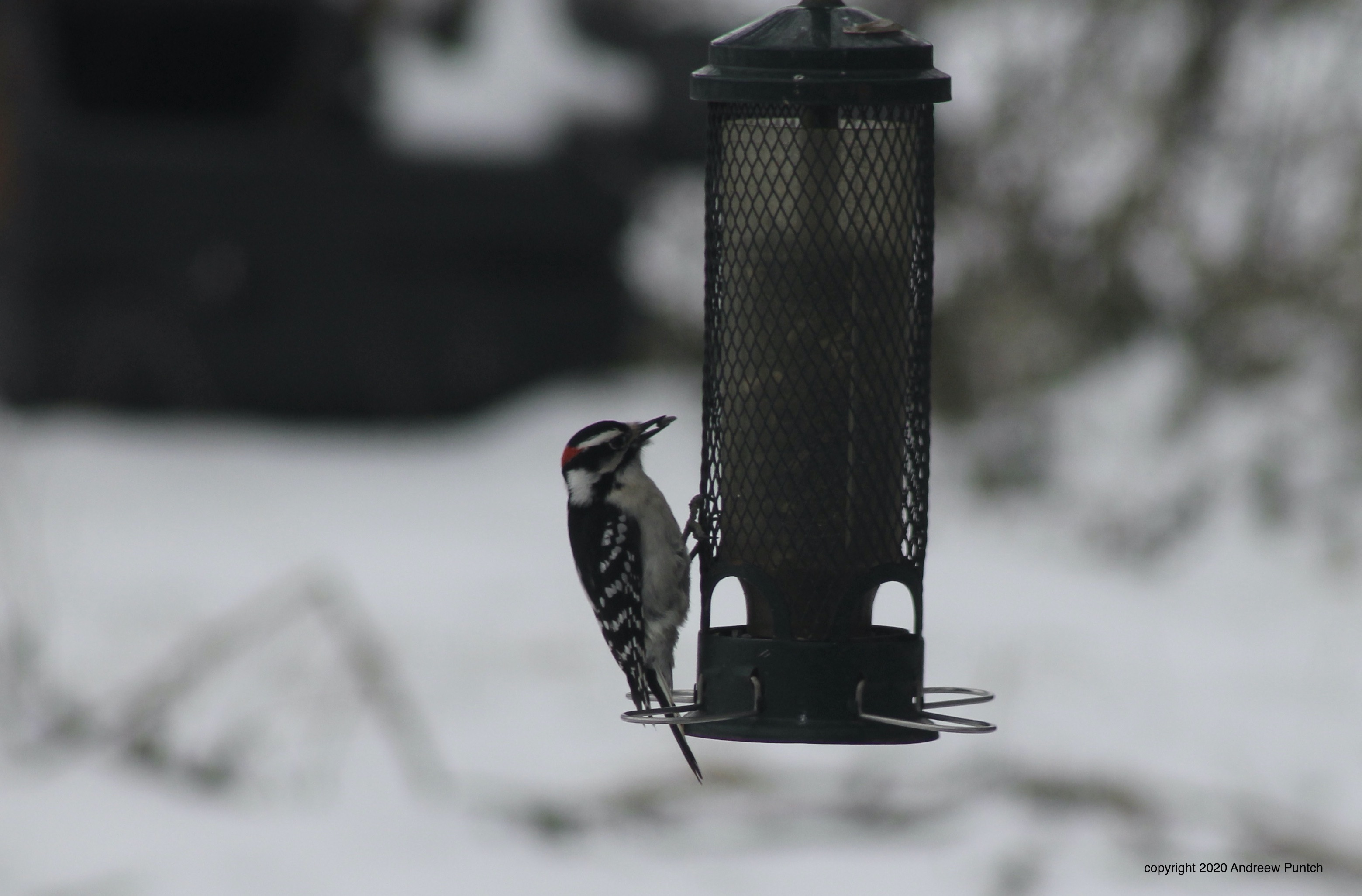 2C668455-396A-49A3-9B23-F5DC5BD4BD69_1_201_a