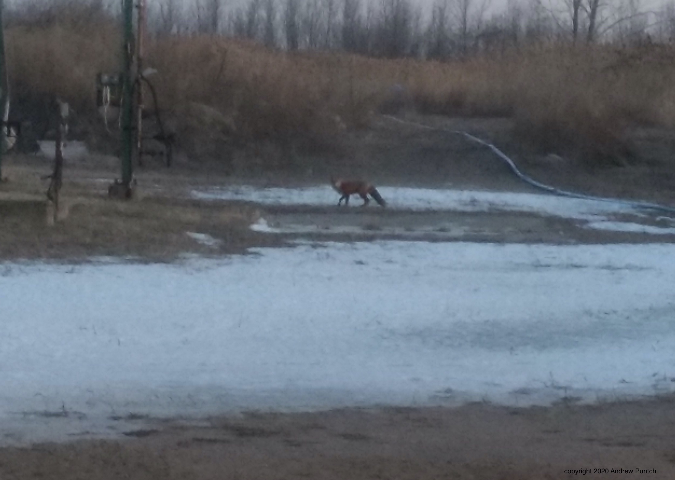 3BB2F761-1160-44B3-892E-BFDCFB3C99D8_1_201_a