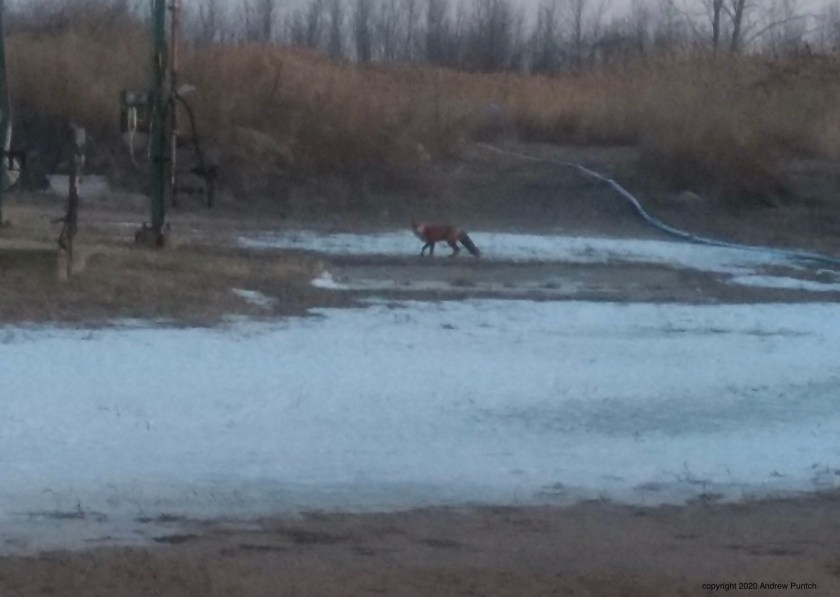 3BB2F761-1160-44B3-892E-BFDCFB3C99D8_1_201_a