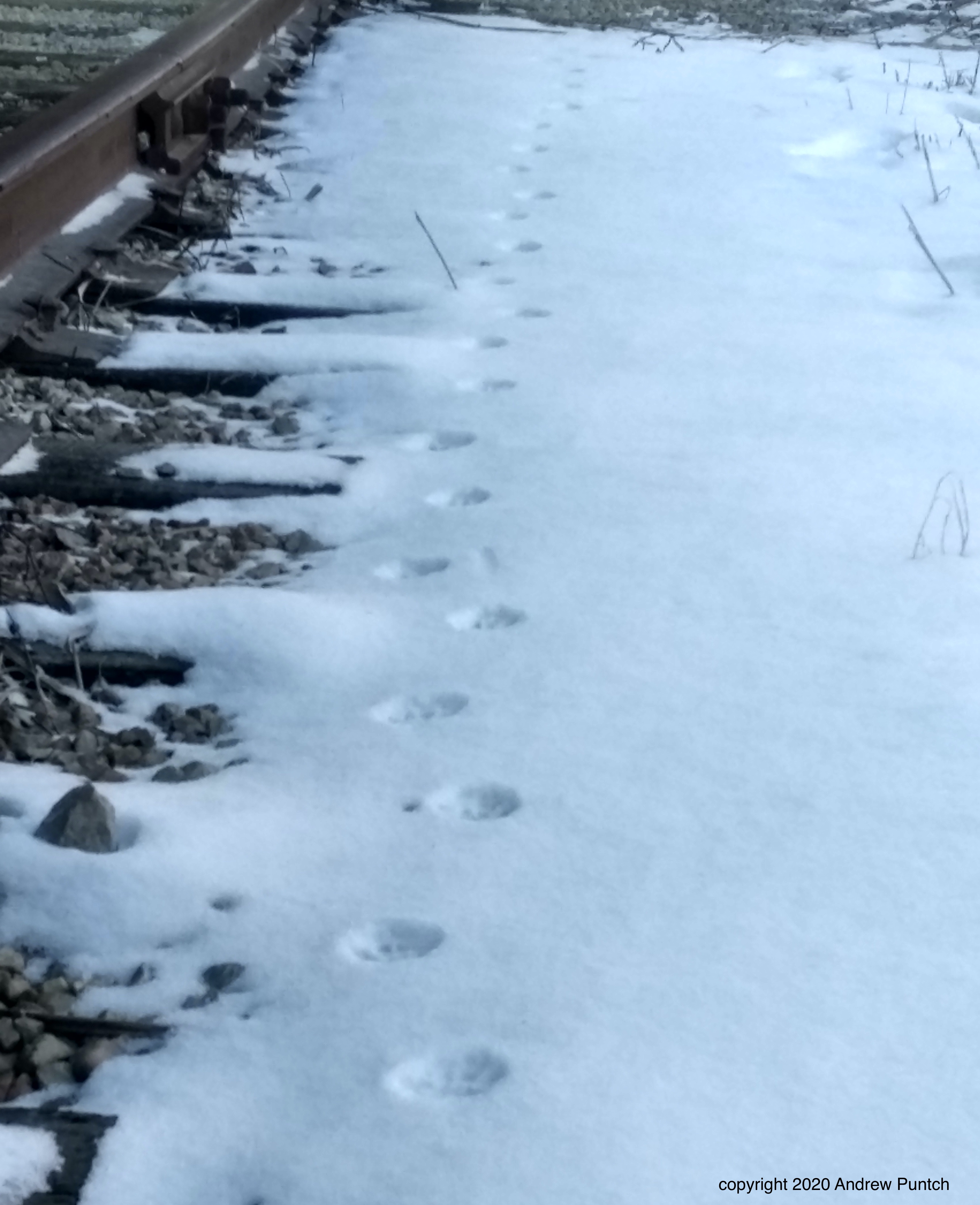 7D3AA5C9-B2DF-437C-B24A-C6706B3EDDE4_1_201_a