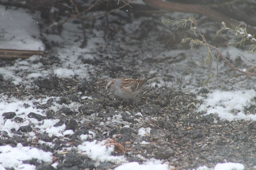 B44A8639-CB5F-445D-AC25-48D5B03F260D