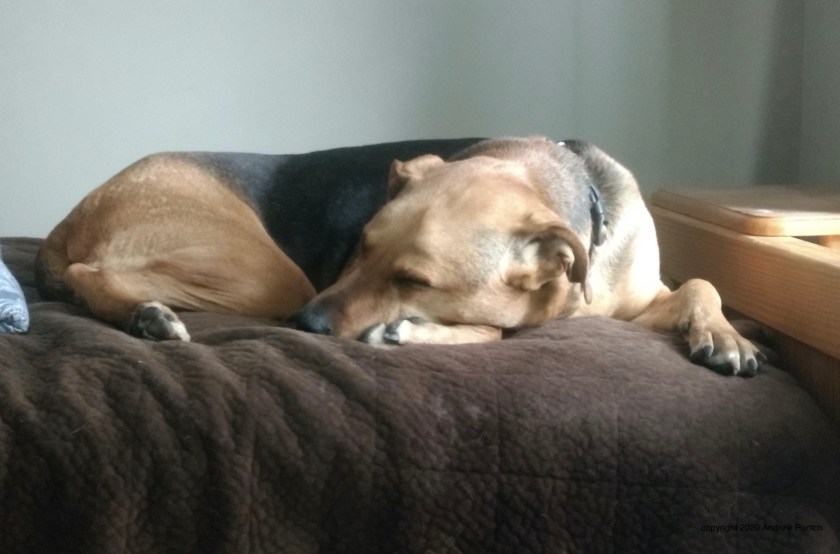 DD2DFDB4-4F7A-46C1-A33E-06858B9A35A4_1_201_a