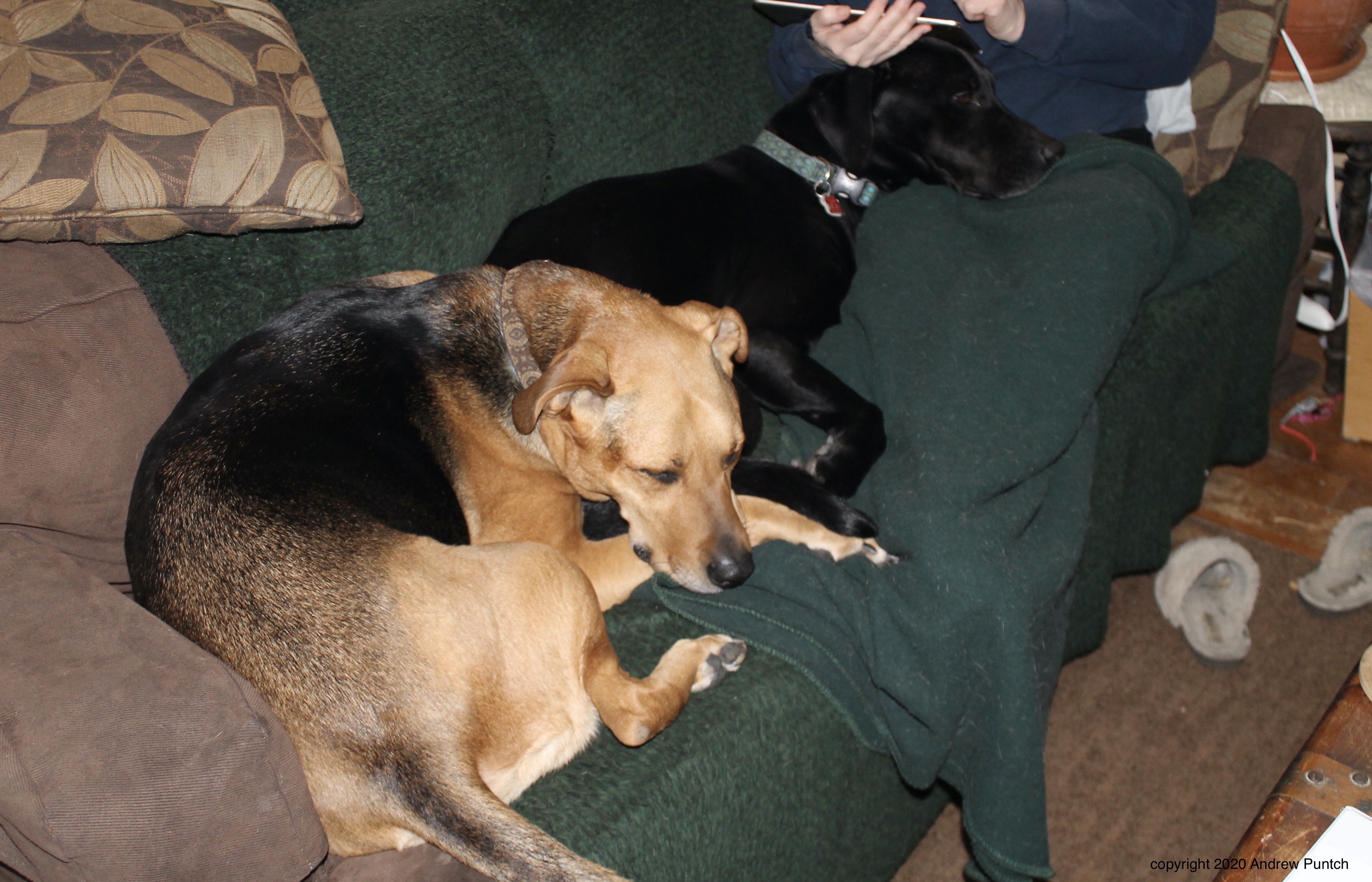 DEB97F93-E7AC-47D9-9FB5-AD363DF6EA2B_1_201_a