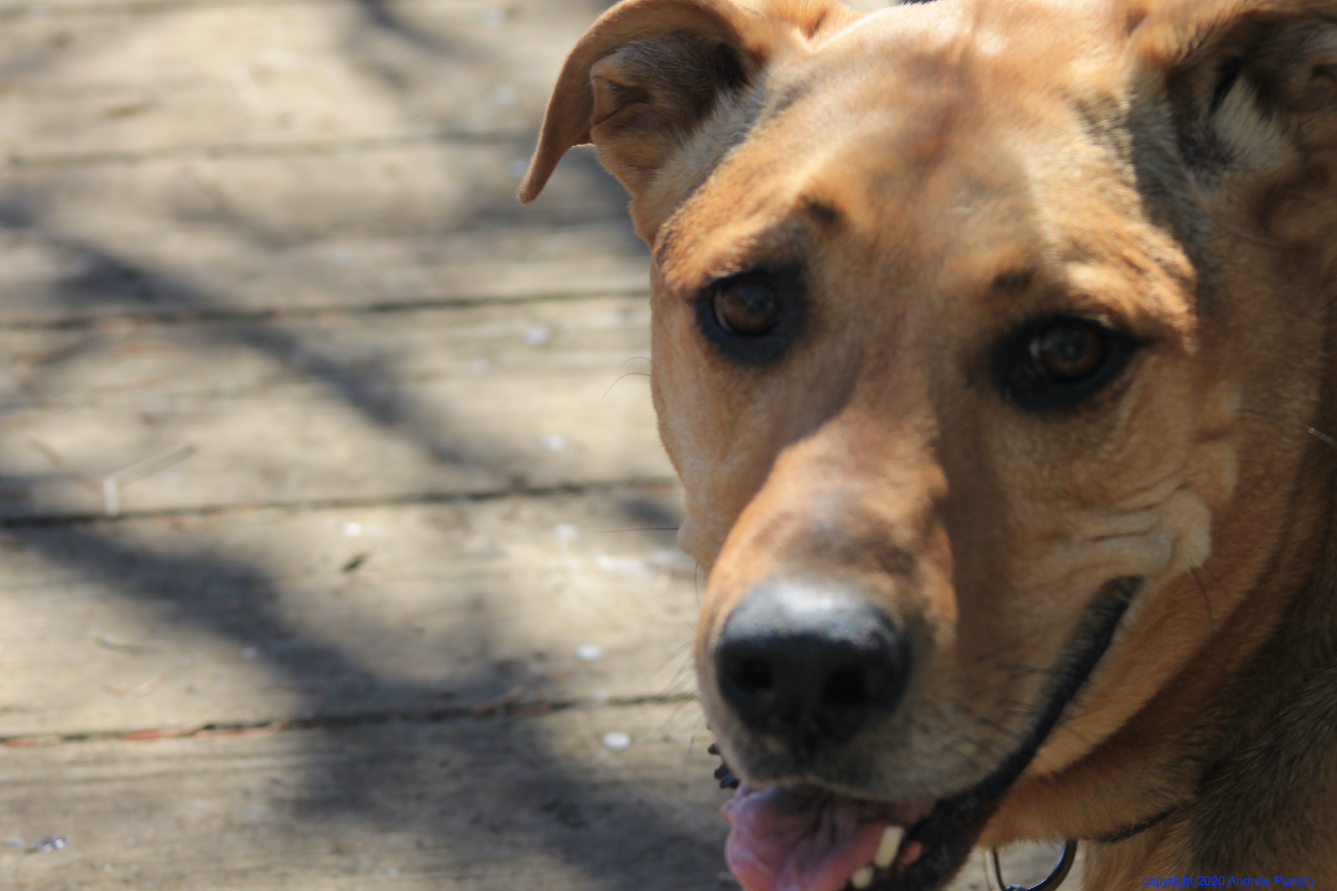 27B8CD15-B4D8-4B11-A3A3-96463D77B4D7_1_201_a