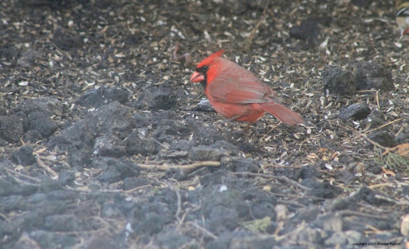 AA83D859-F972-4C12-9A86-8C675B4DC5B8_1_201_a