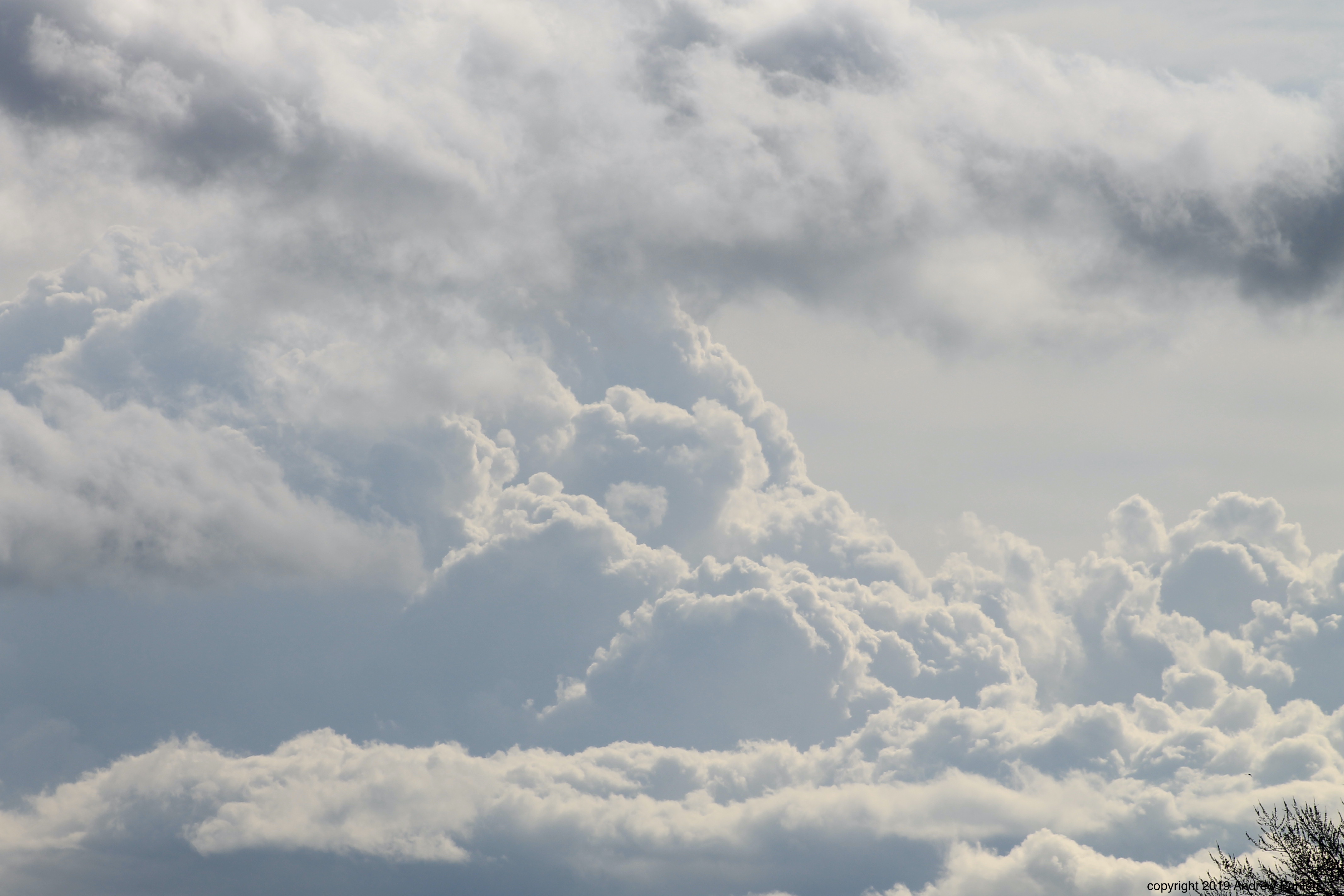 CAAACD53-5F7C-4C0F-9756-0AF2EE55DBD5_1_201_a