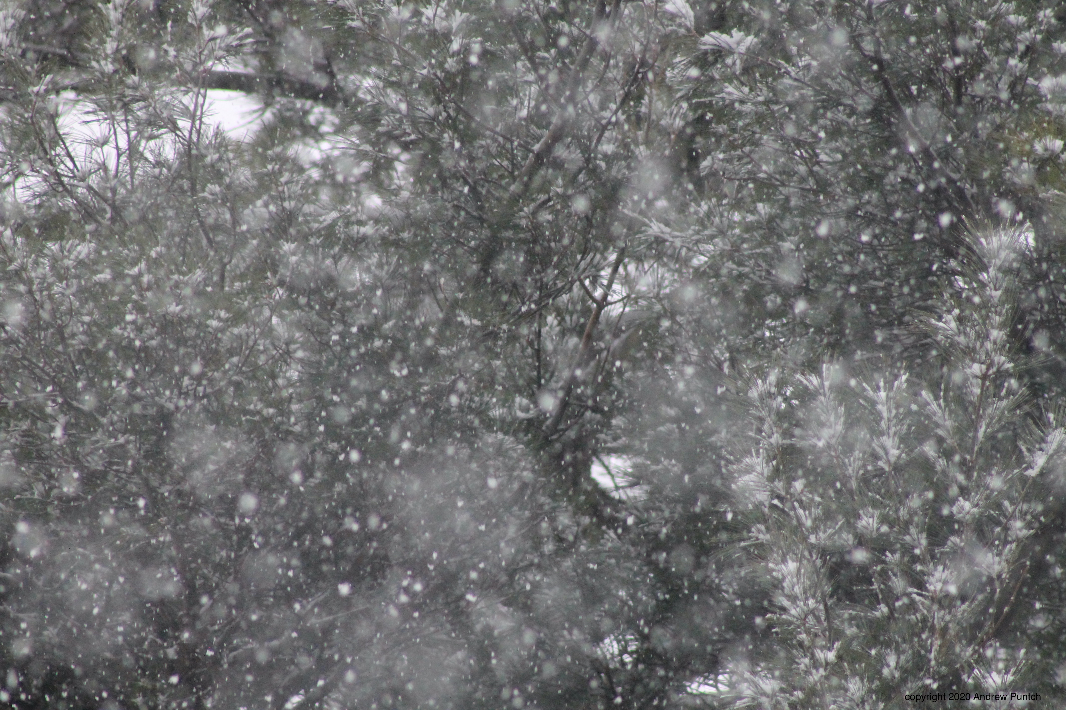 0B939CEC-F38E-4A0D-8F65-204EC39AB2F2_1_201_a