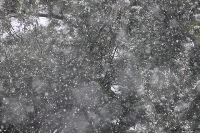 0B939CEC-F38E-4A0D-8F65-204EC39AB2F2_1_201_a