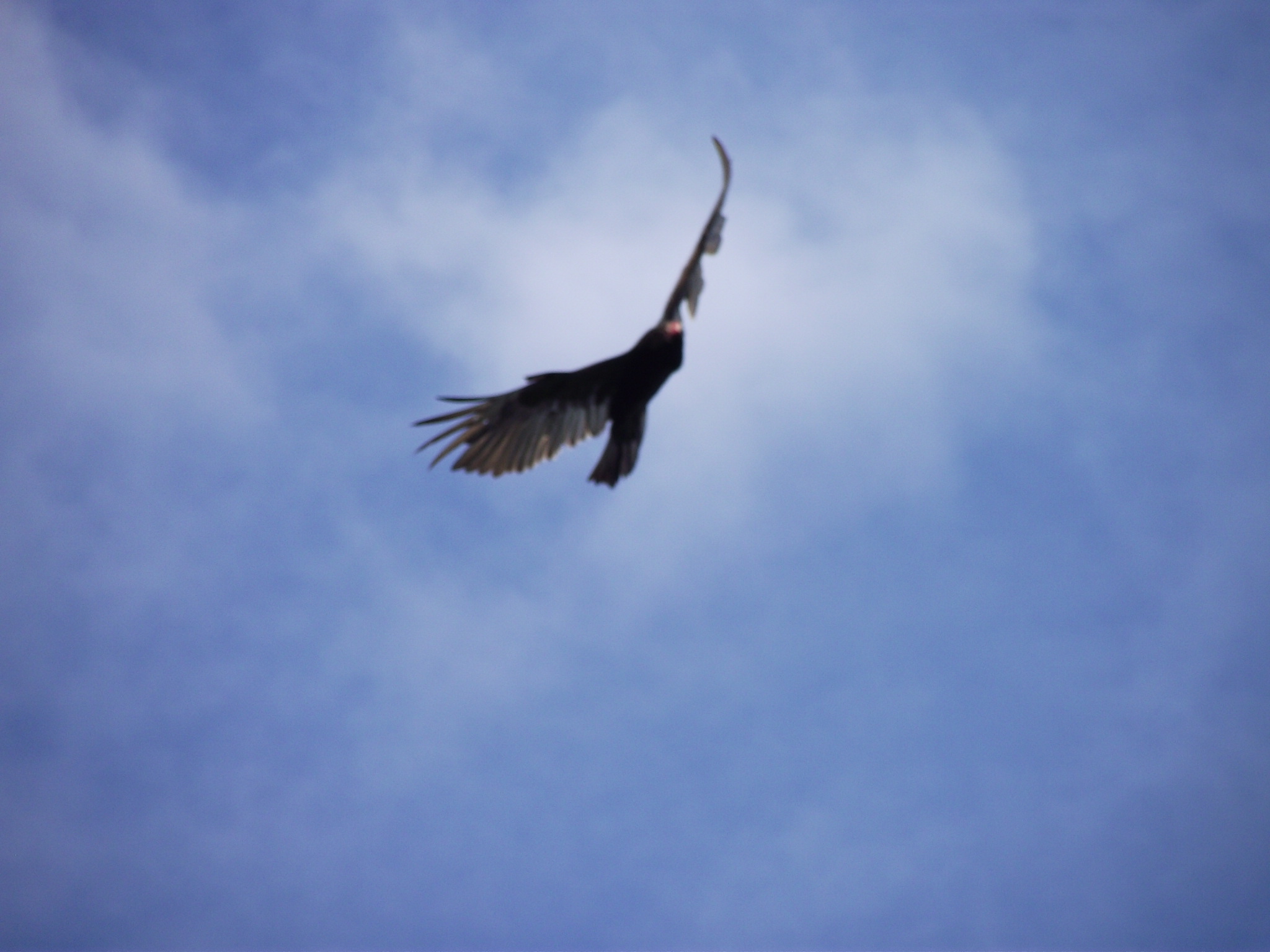 1BBAB8D7-9888-48A9-B5D3-CBC8A15B3F1A