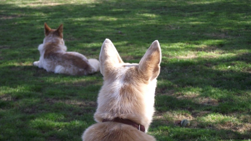 2A167662-17C4-4308-A59E-3C3D7BABBE6B_1_201_a