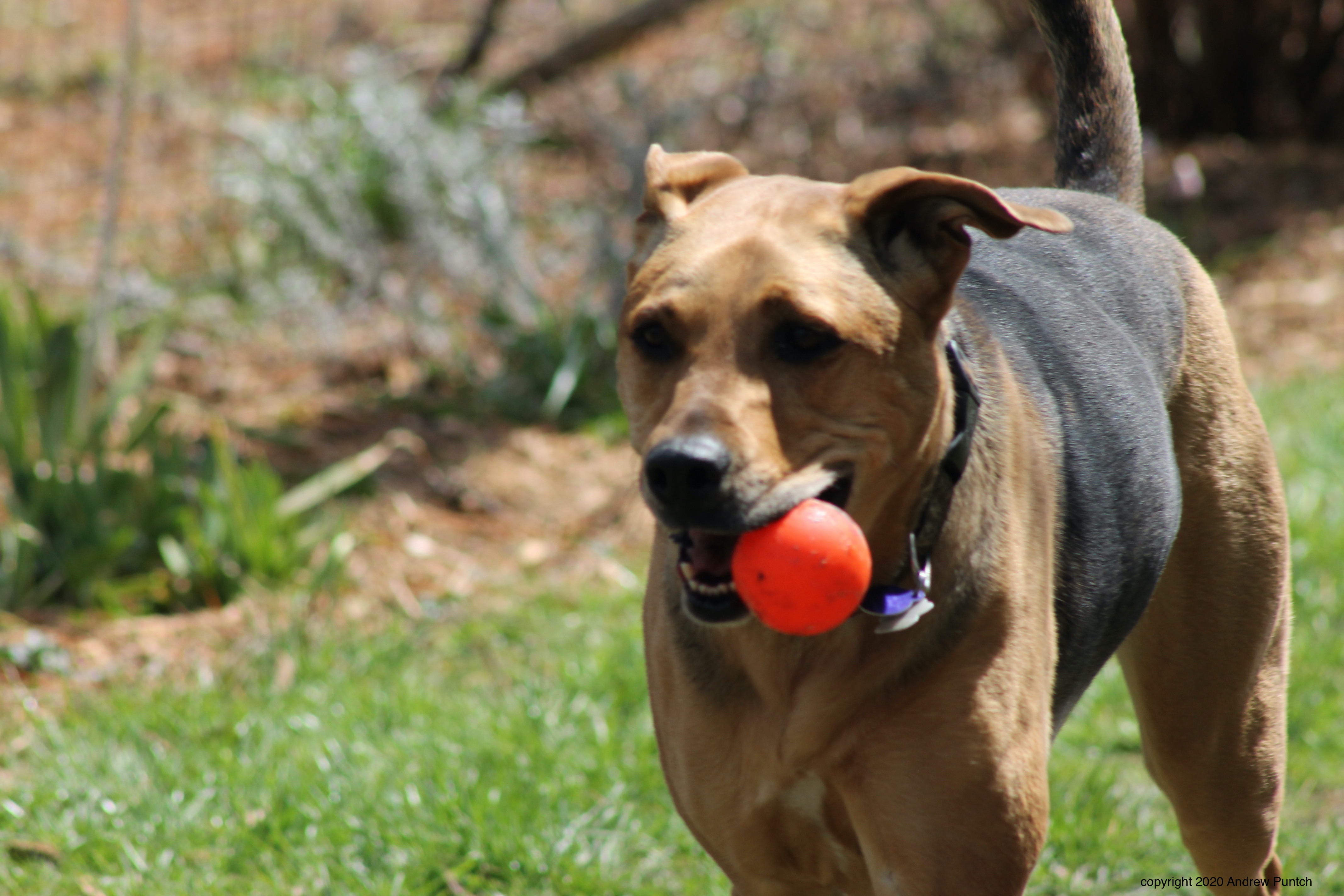 2CCDD763-9A99-46AB-9848-549AFB663DEA_1_201_a