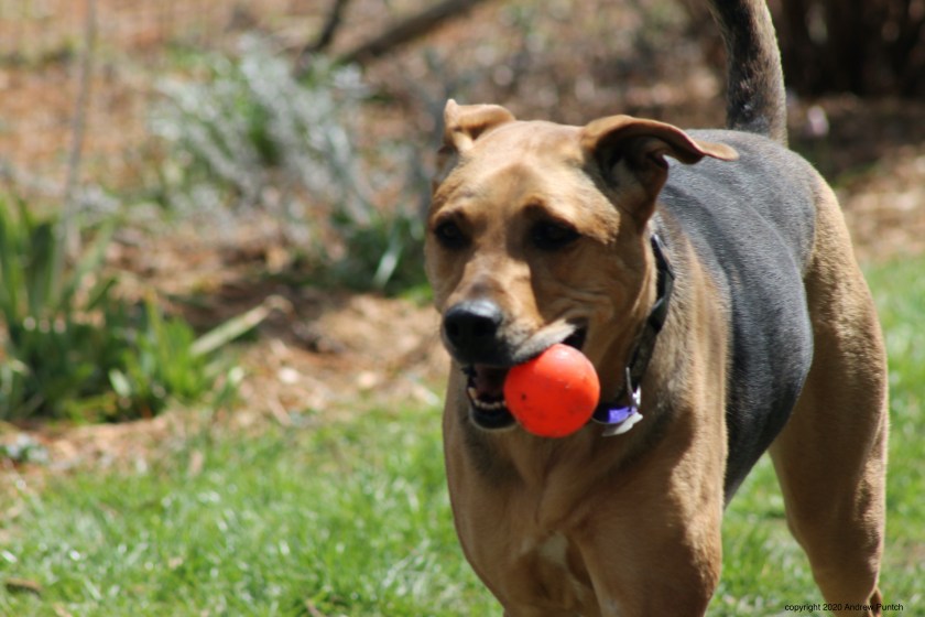 2CCDD763-9A99-46AB-9848-549AFB663DEA_1_201_a