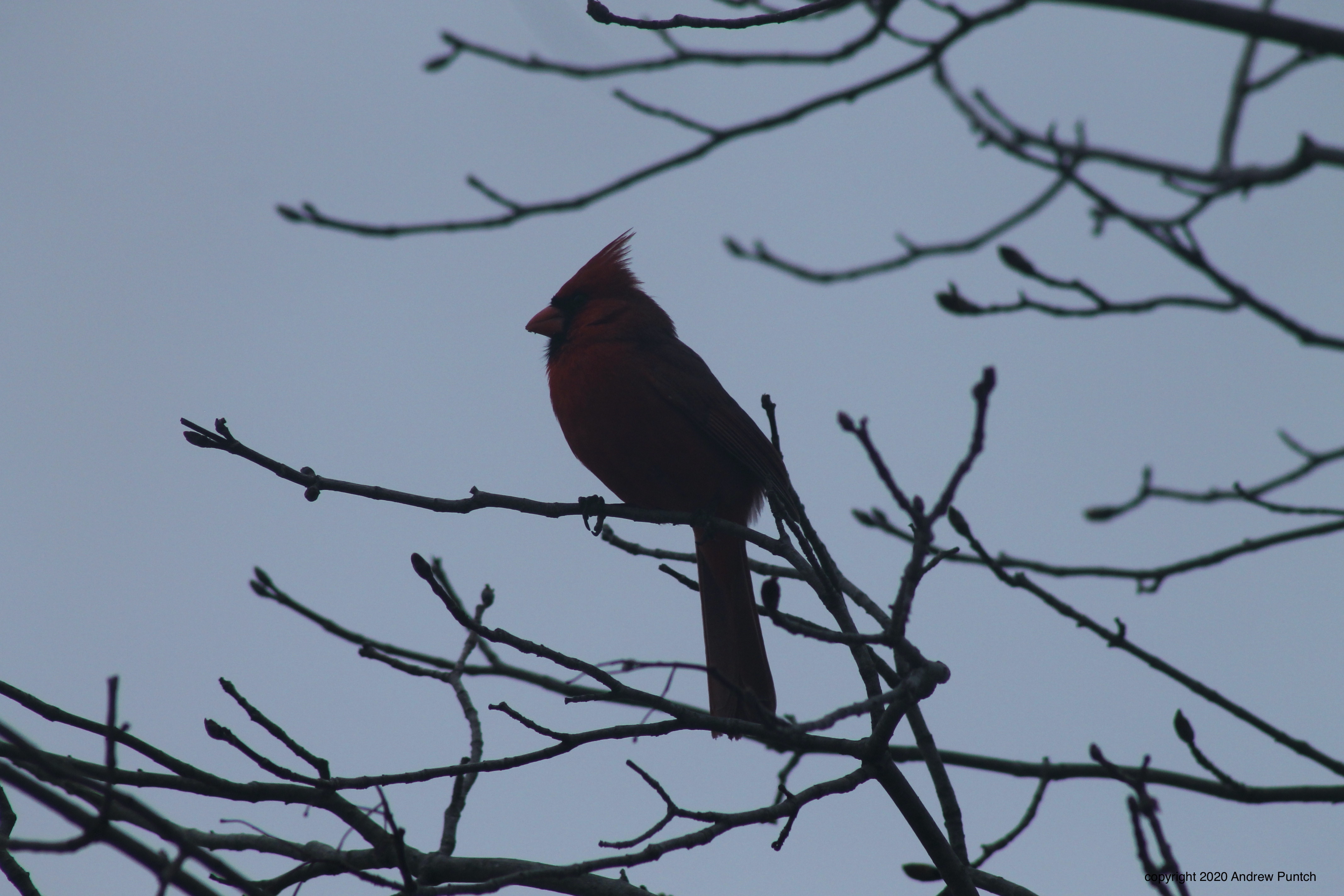 34AB3901-2BCE-4279-8BE8-A098CA4BE9AA_1_201_a