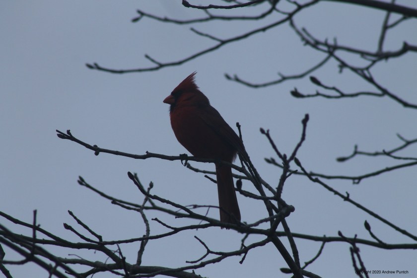 34AB3901-2BCE-4279-8BE8-A098CA4BE9AA_1_201_a