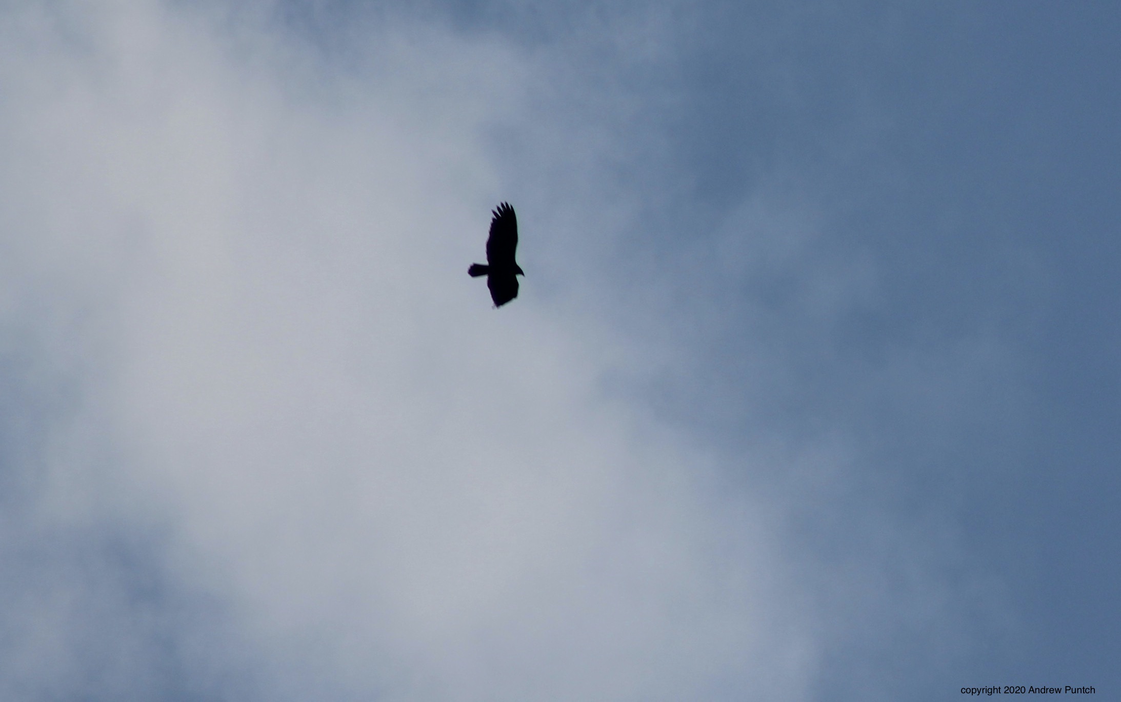 81CCFDA6-FC26-42CE-BD2F-917E0332614C_1_201_a