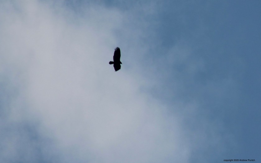 81CCFDA6-FC26-42CE-BD2F-917E0332614C_1_201_a