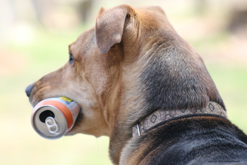 A5F009B3-D9DD-47D9-AA73-B1DAC21105E2_1_201_a