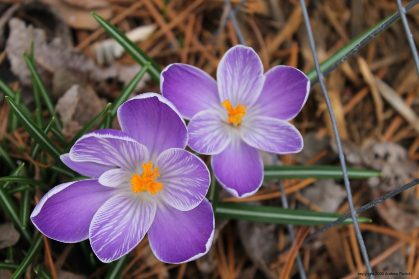 ABE4DF4D-7FC9-44CE-986B-6FD19696318B_1_201_a