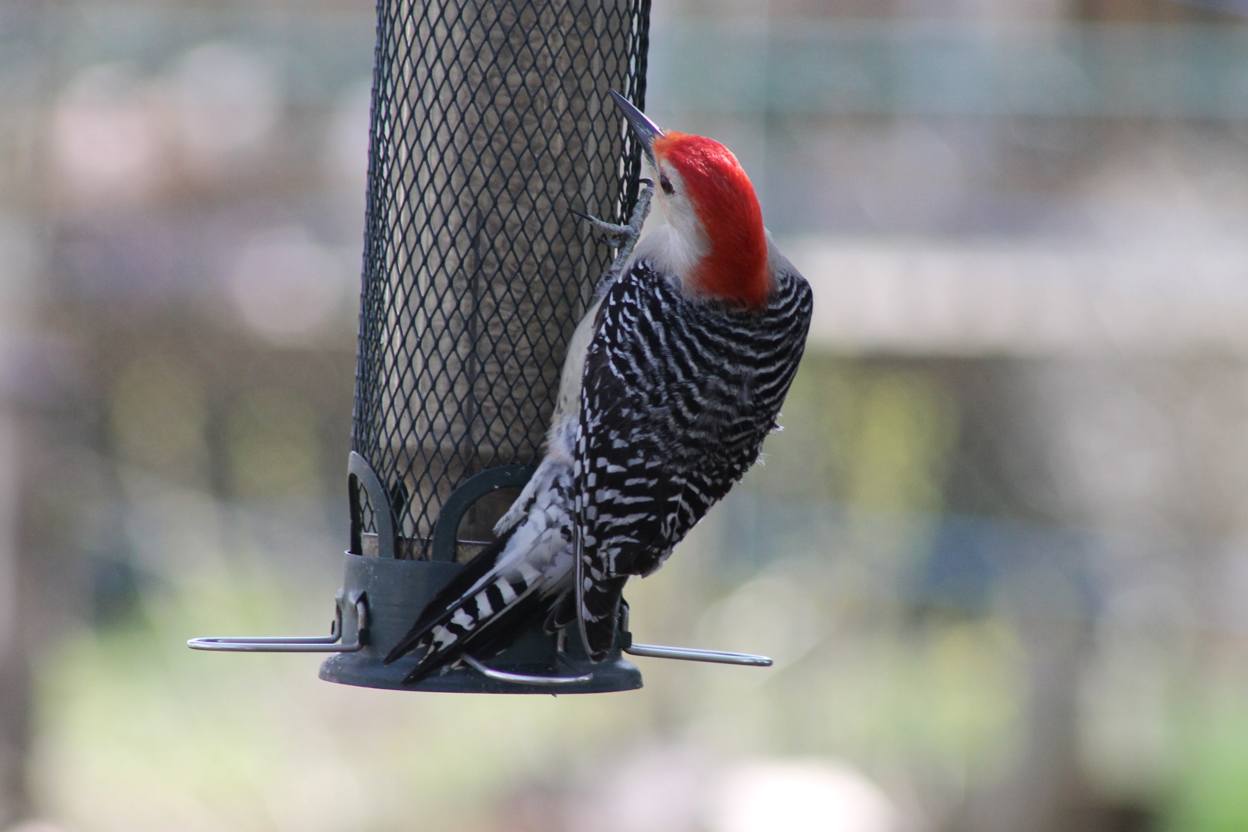 CD799871-7435-4125-854B-34796583ADA0