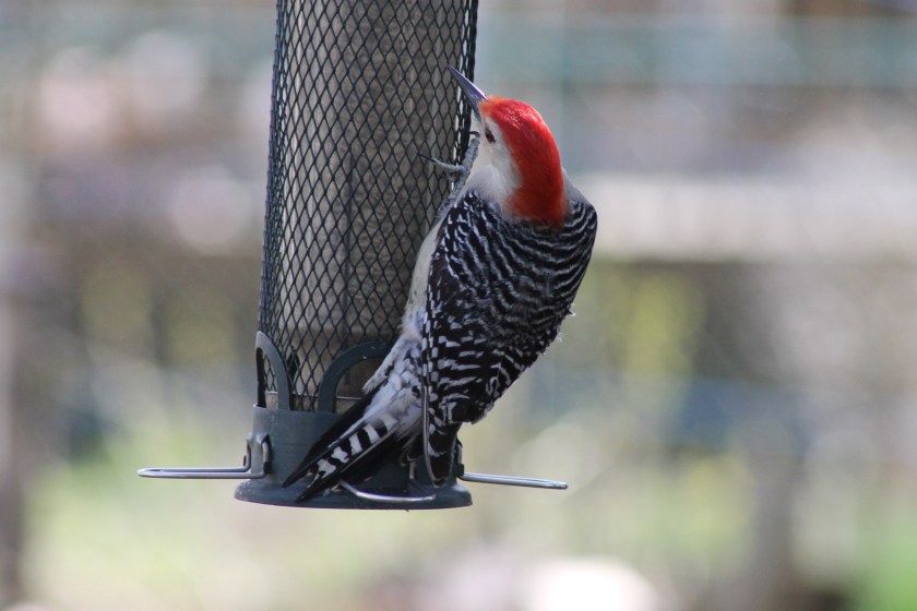 CD799871-7435-4125-854B-34796583ADA0