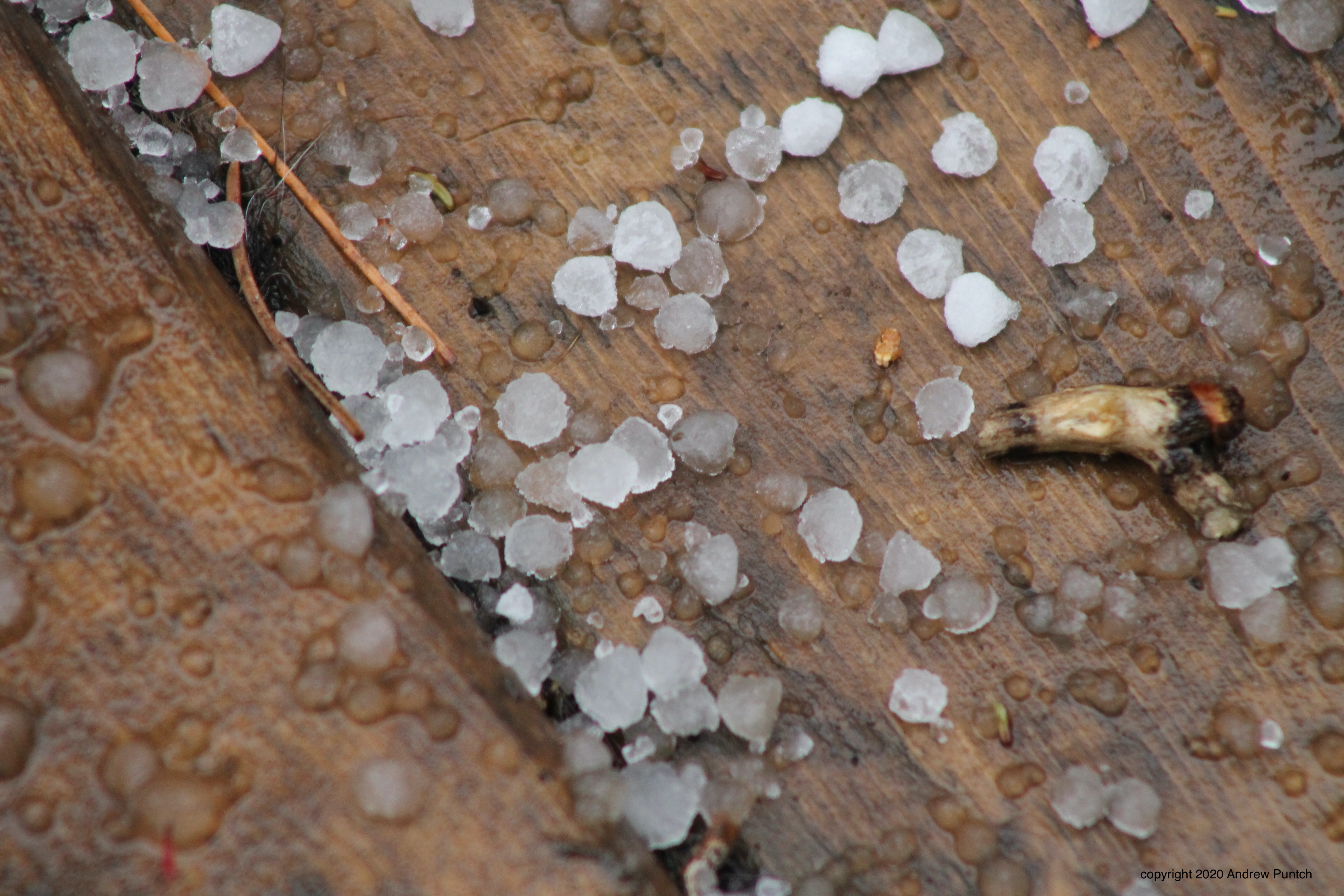 D1F7D976-8FBE-4C35-8E6F-671D95658A3C_1_201_a