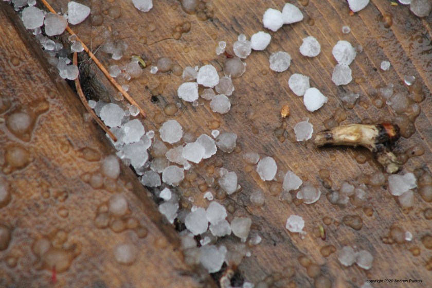 D1F7D976-8FBE-4C35-8E6F-671D95658A3C_1_201_a