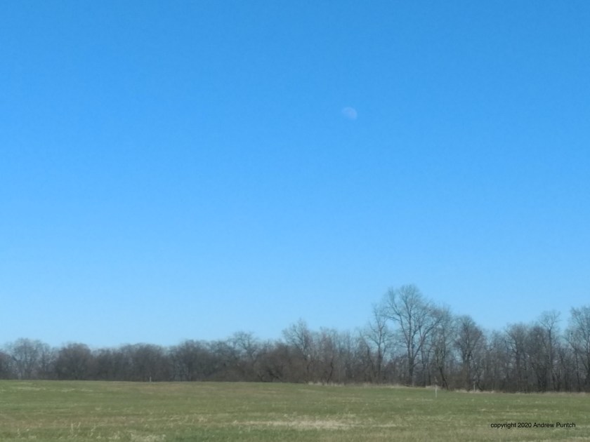 E7F9F7B1-97CB-4484-8938-1ADB47BFDB29_1_201_a