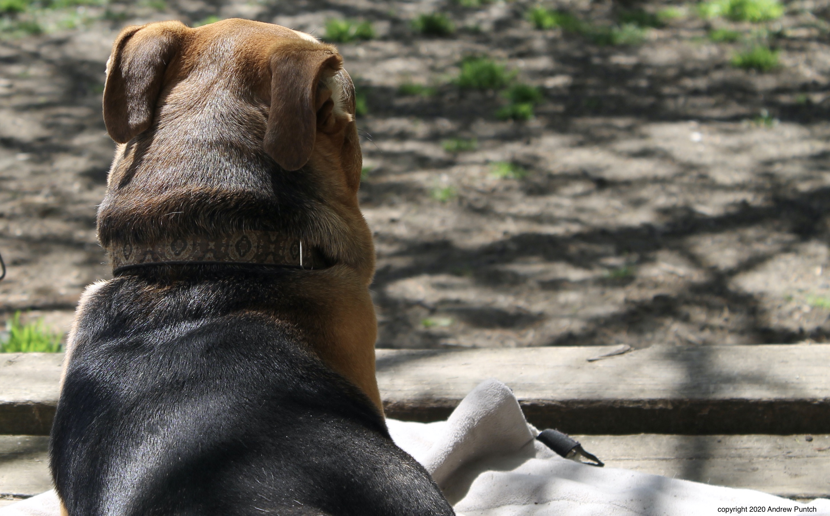 170E9A71-6671-4213-A74C-B03553DD5DD4_1_201_a