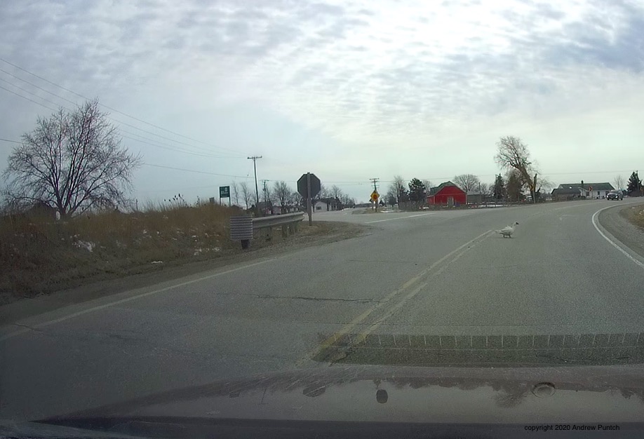 3B989679-7341-4D47-95A5-67473C3DC050_1_201_a