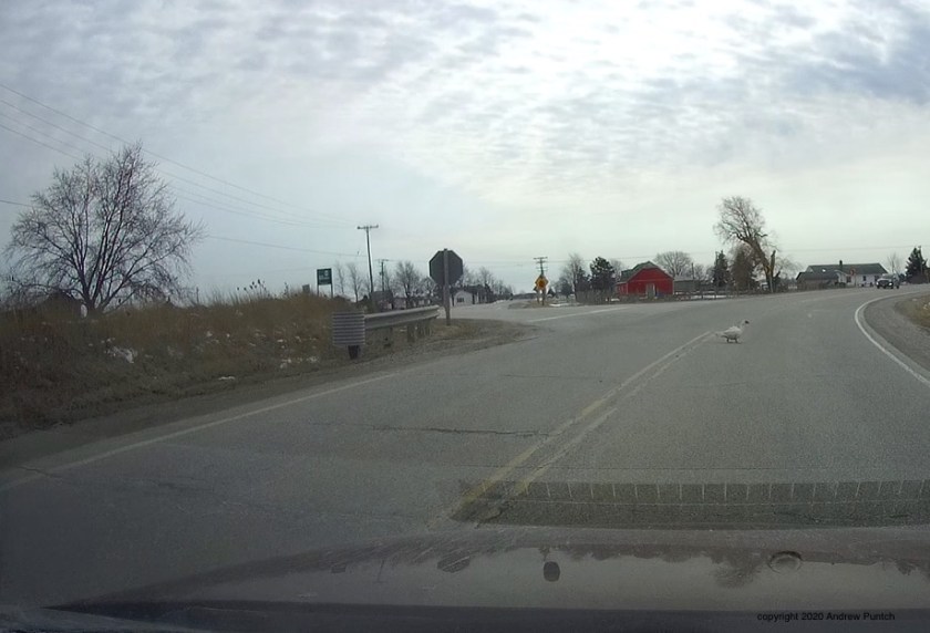 3B989679-7341-4D47-95A5-67473C3DC050_1_201_a