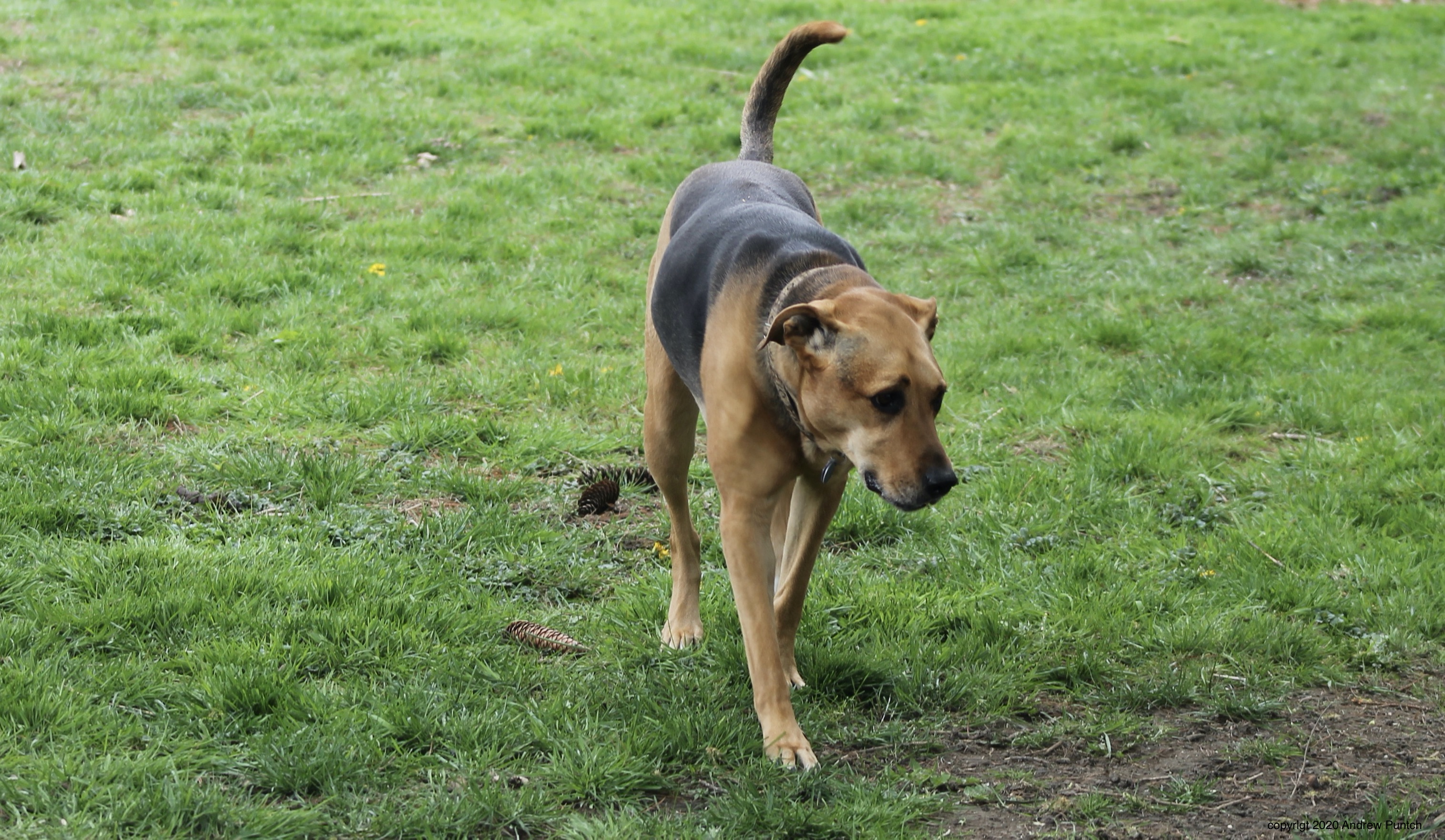 70474097-7214-41B0-81EE-8FC4277DA305_1_201_a