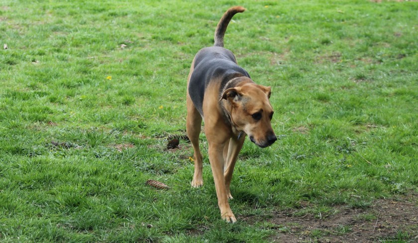 70474097-7214-41B0-81EE-8FC4277DA305_1_201_a