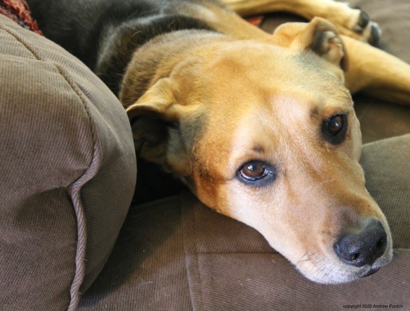 7E5B0425-8D00-48C0-87B3-87971D7387D0_1_201_a