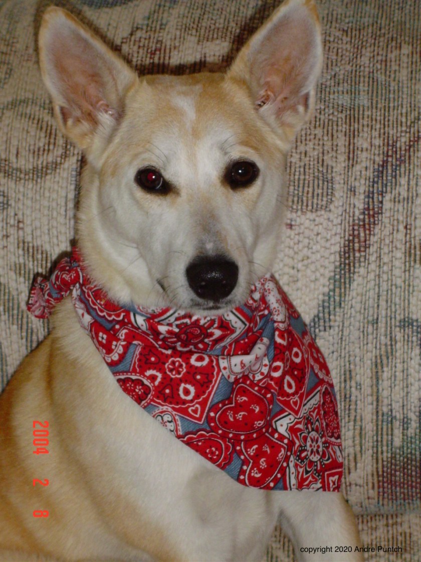 49DE53B7-4986-41E3-BF91-1186BD1596D5_1_201_a